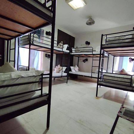 نيودلهي A Sleepy Fox Hostel المظهر الخارجي الصورة