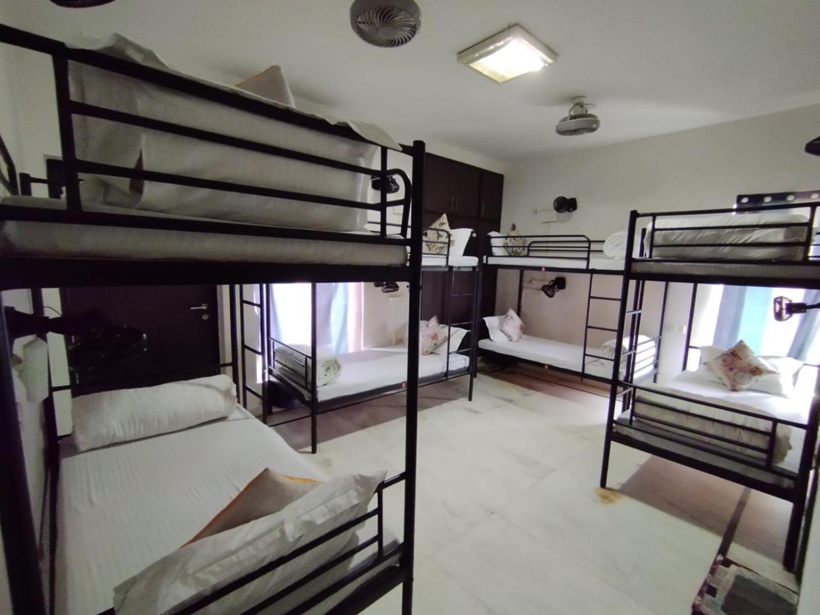نيودلهي A Sleepy Fox Hostel المظهر الخارجي الصورة
