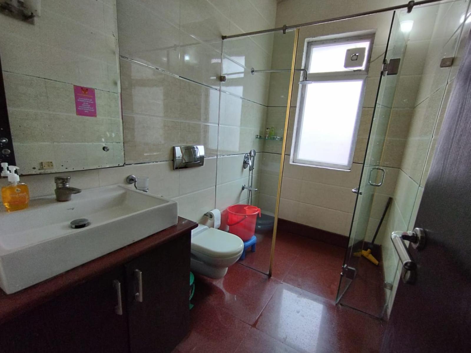 نيودلهي A Sleepy Fox Hostel المظهر الخارجي الصورة