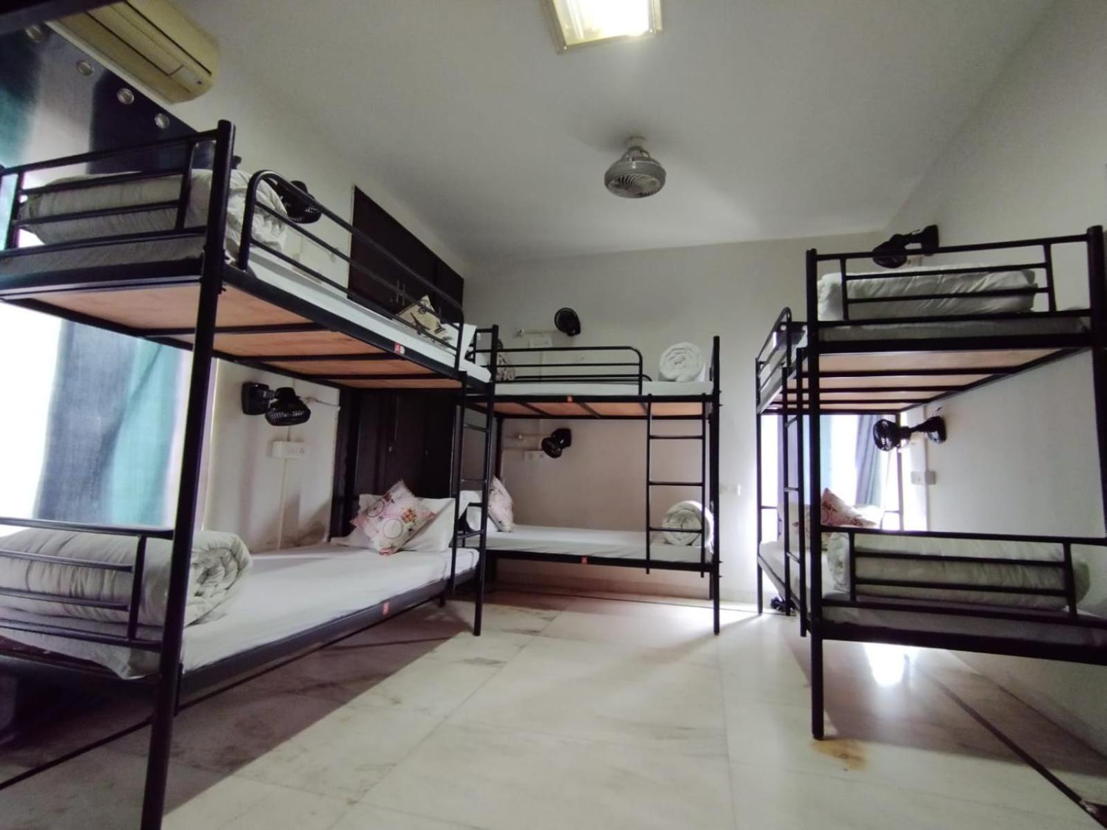 نيودلهي A Sleepy Fox Hostel المظهر الخارجي الصورة