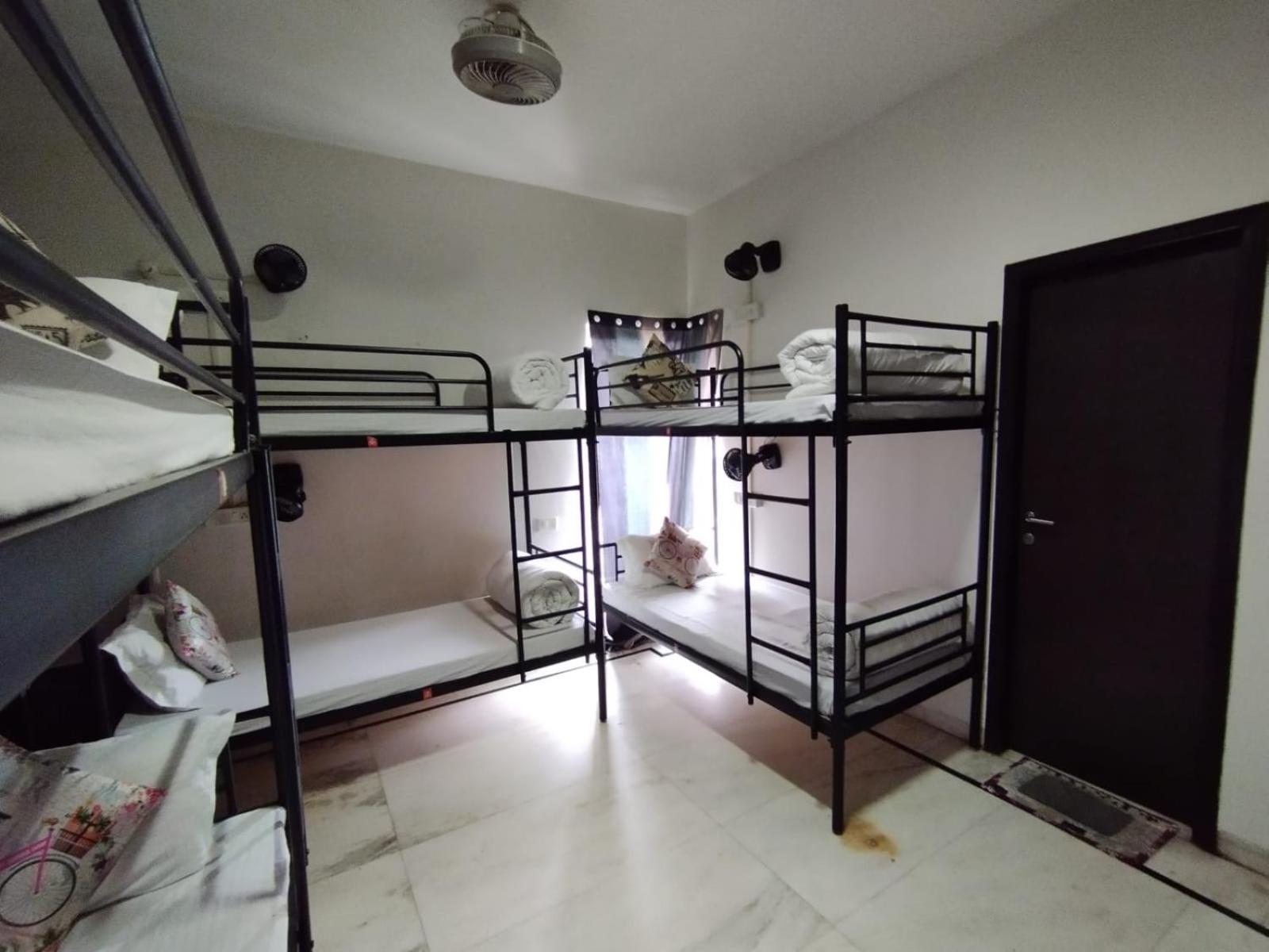نيودلهي A Sleepy Fox Hostel المظهر الخارجي الصورة