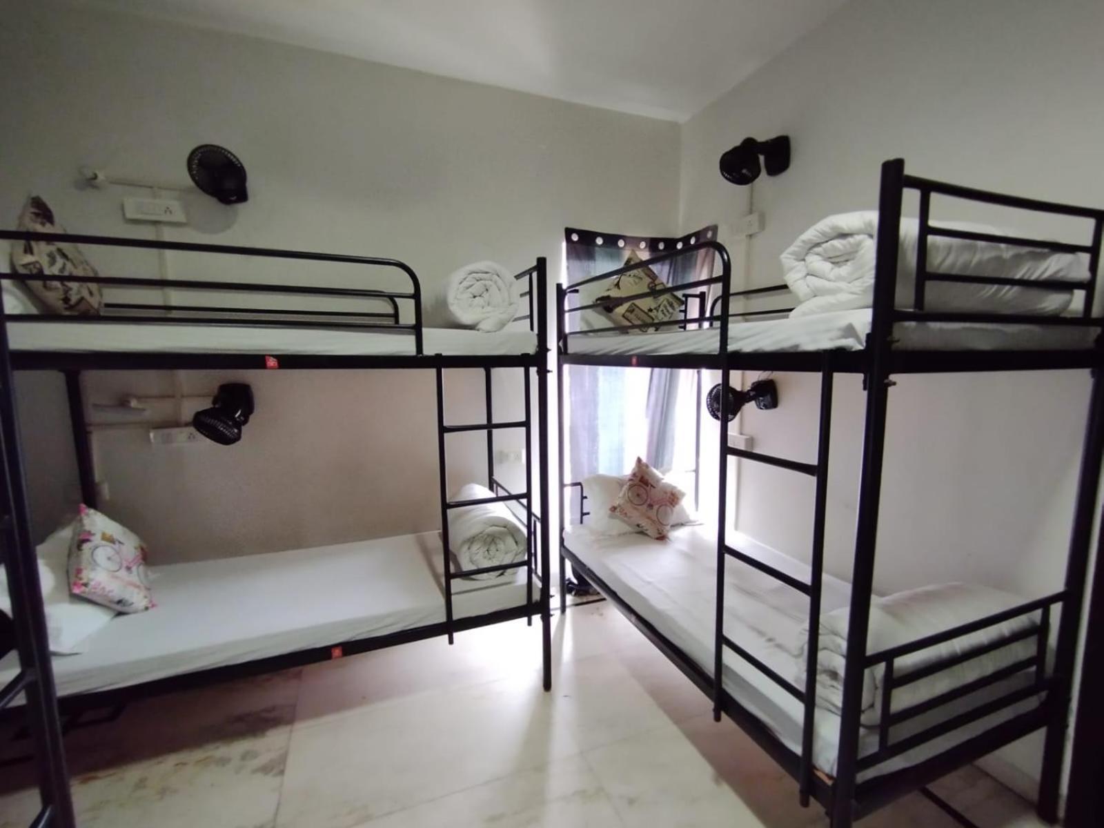 نيودلهي A Sleepy Fox Hostel المظهر الخارجي الصورة
