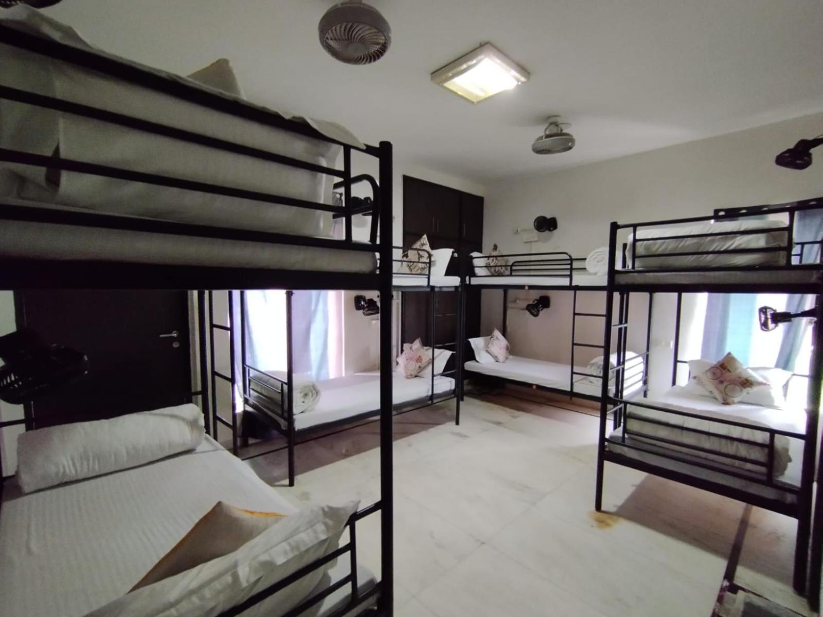 نيودلهي A Sleepy Fox Hostel المظهر الخارجي الصورة