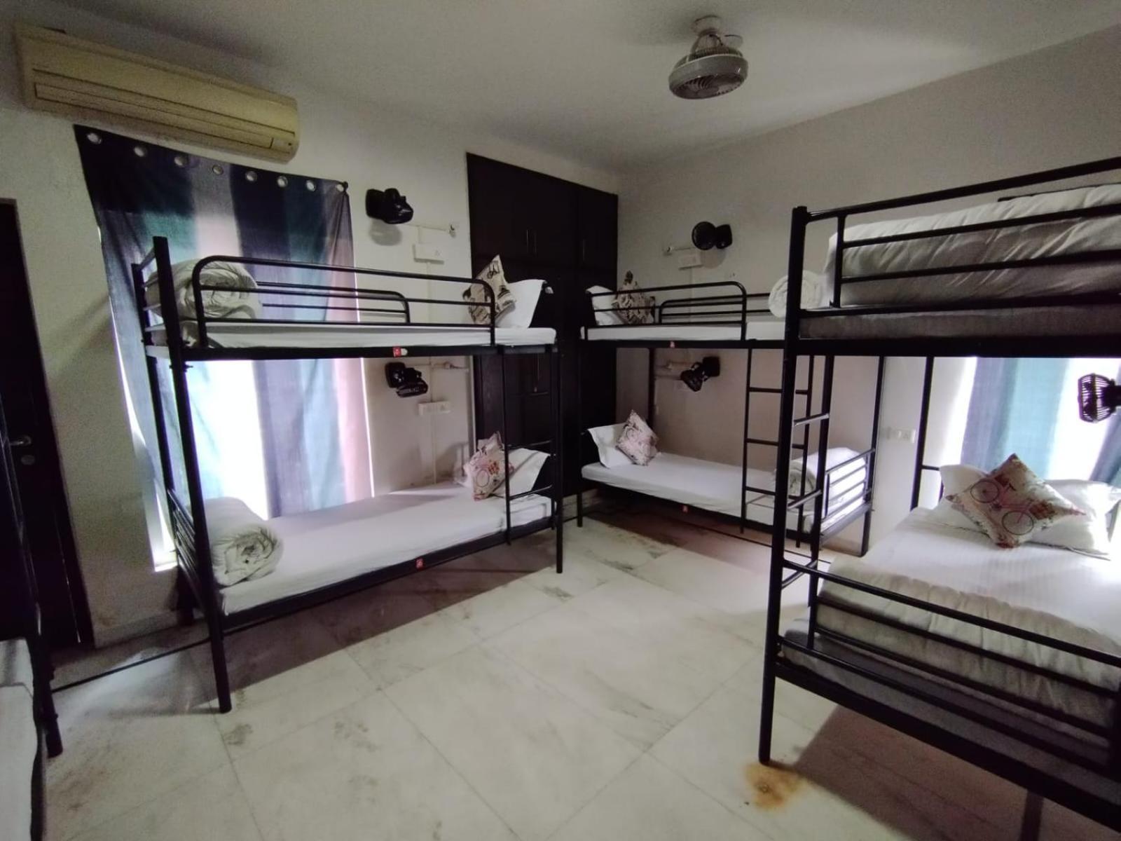 نيودلهي A Sleepy Fox Hostel المظهر الخارجي الصورة