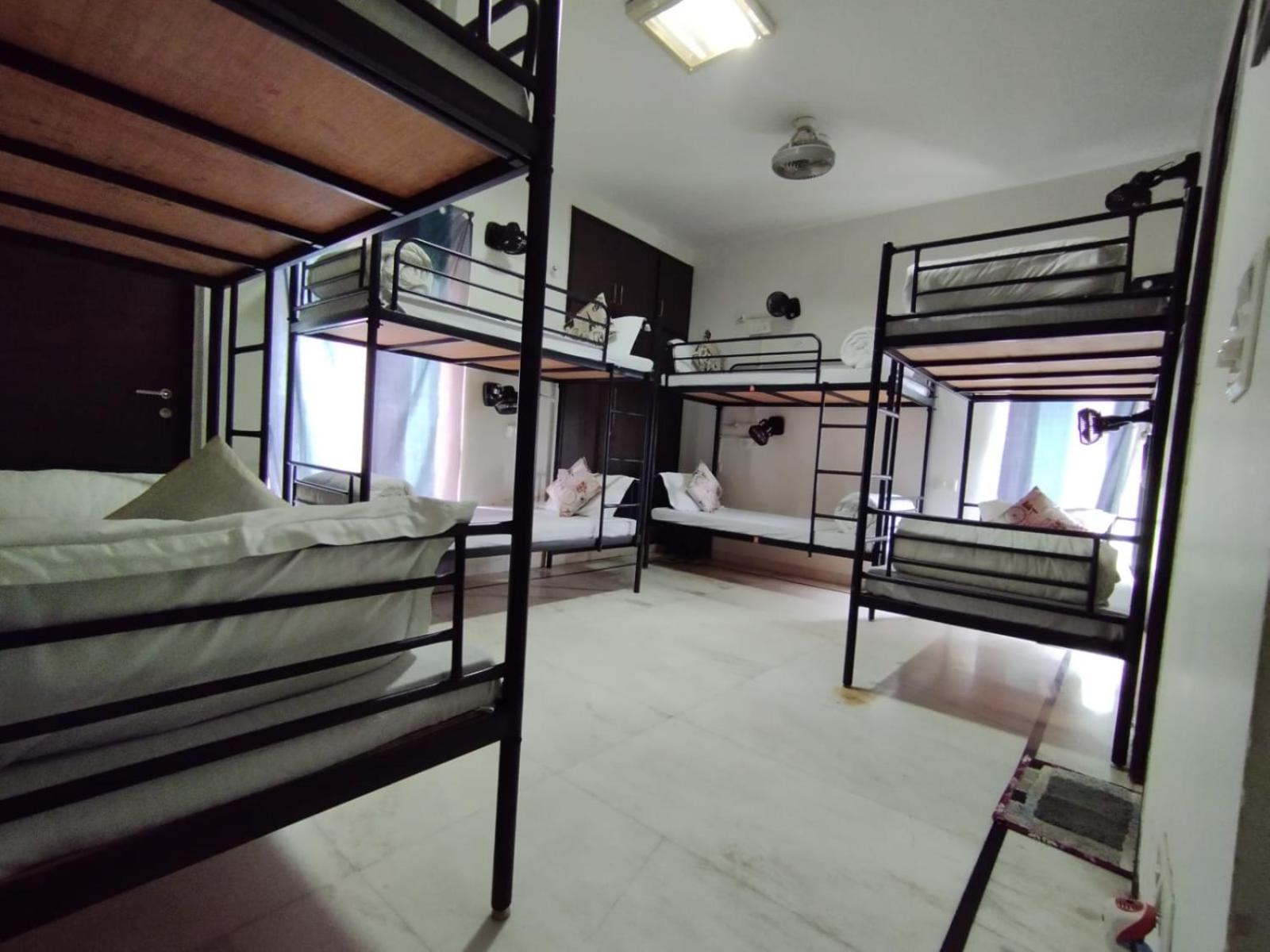 نيودلهي A Sleepy Fox Hostel المظهر الخارجي الصورة
